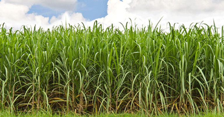 Tomar conciencia no tiene precio: impresión en papel natural