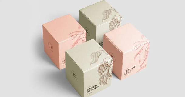 el-packaging-juega-un-papel-definitivo-en-la-decision-de-compra-de-productos-de-perfumeria-y-maquillaje